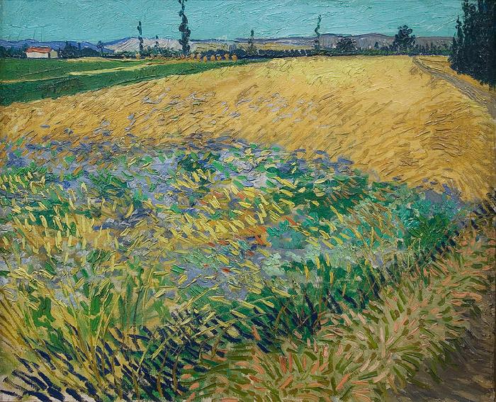 Vincent van Gogh Wheatfield, unknow artist